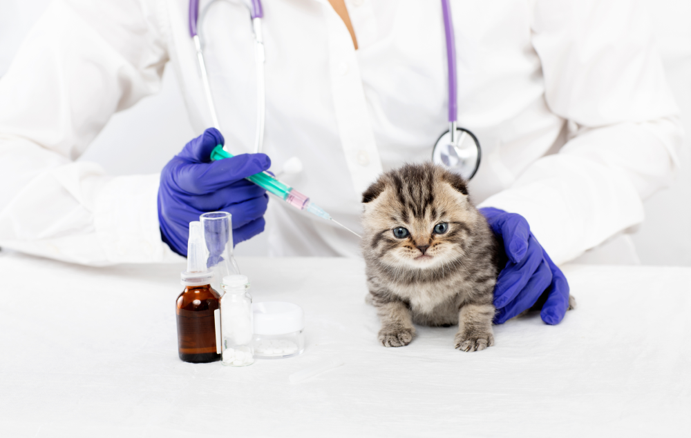 AMSvet Toxicología veterinaria agto
