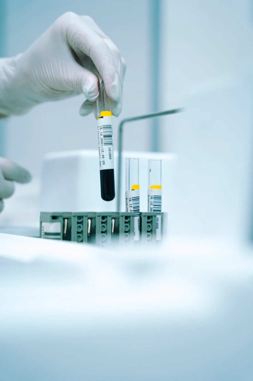 Toxicología veterinaria