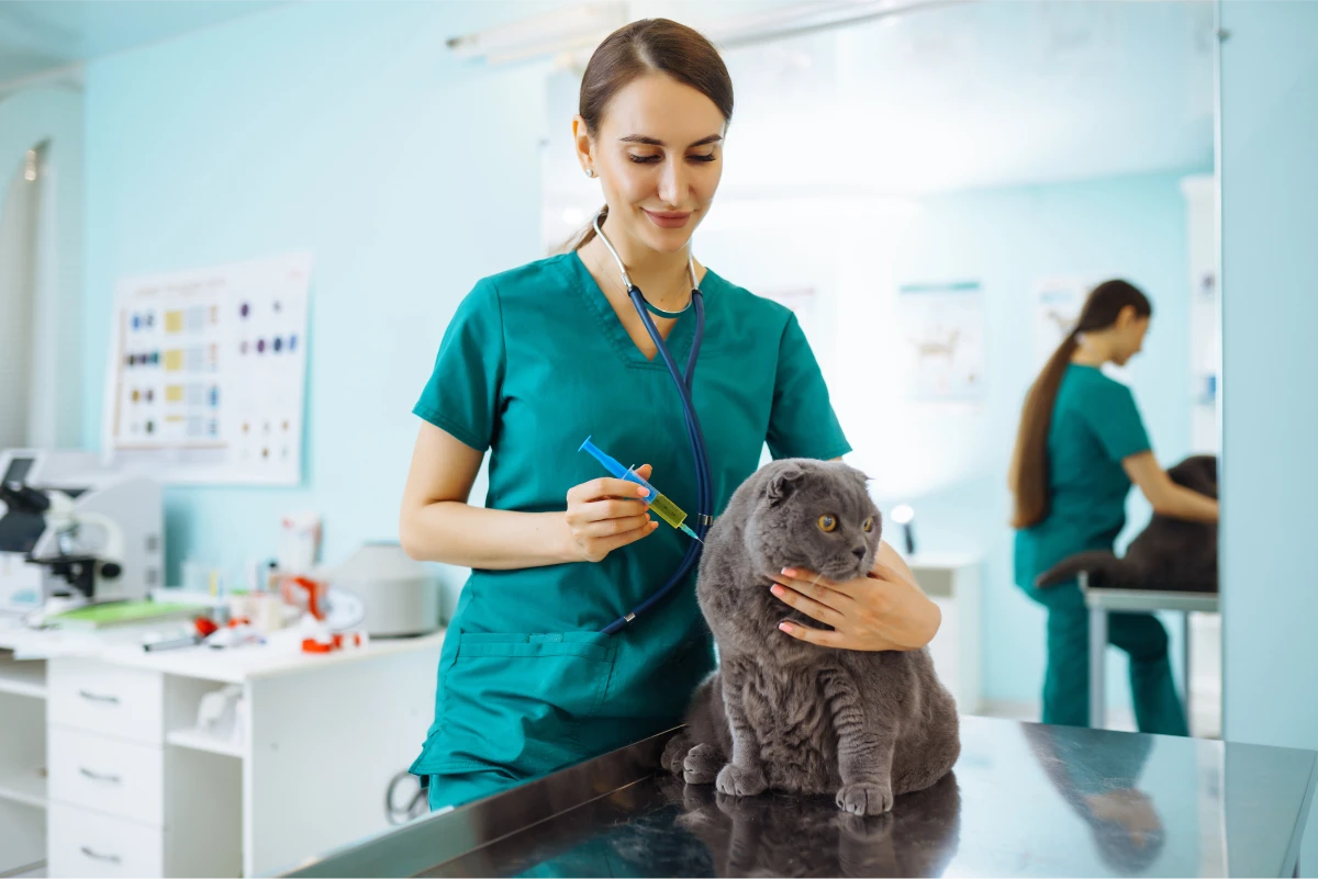 AMSvet Toxicología veterinaria mascotas