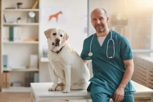 AMSvet Toxicología veterinaria mascotas