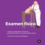Examen físico intoxicación animal