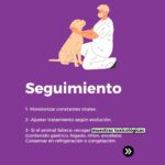 Seguimiento intoxicación animal