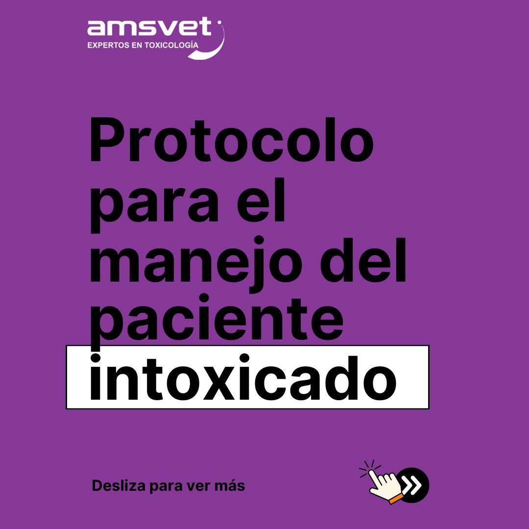 Protocolo intoxicación animal