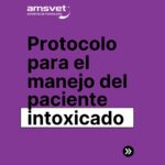 Protocolo intoxicación animal