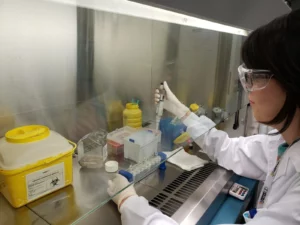 Análisis toxicológico veterinario