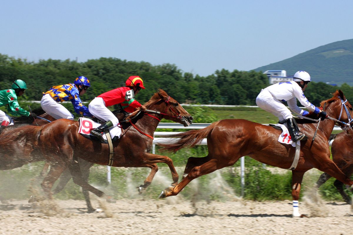 Carreras de caballos