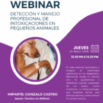 Webinar intoxicaciones en mascotas