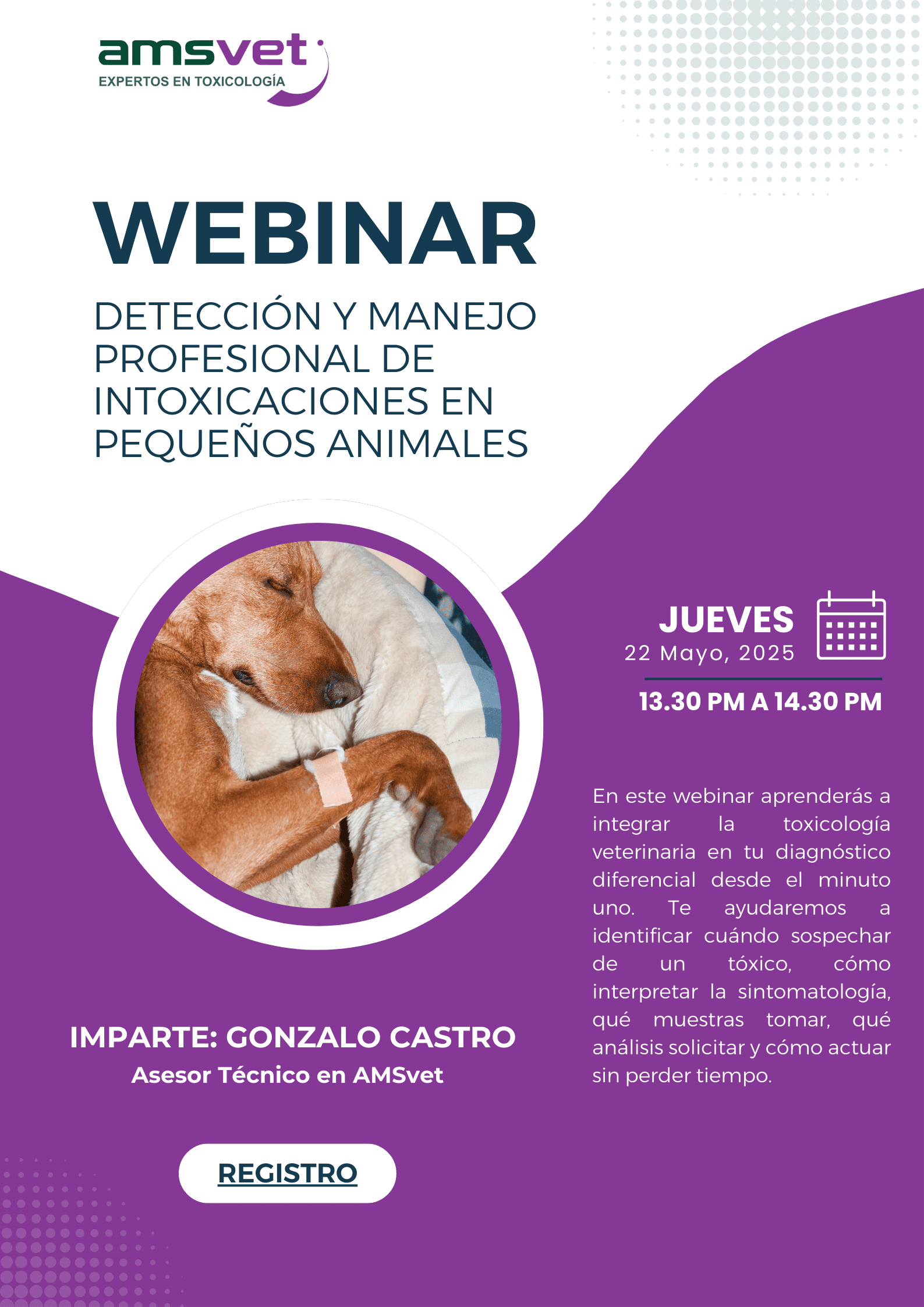 Webinar intoxicaciones en mascotas