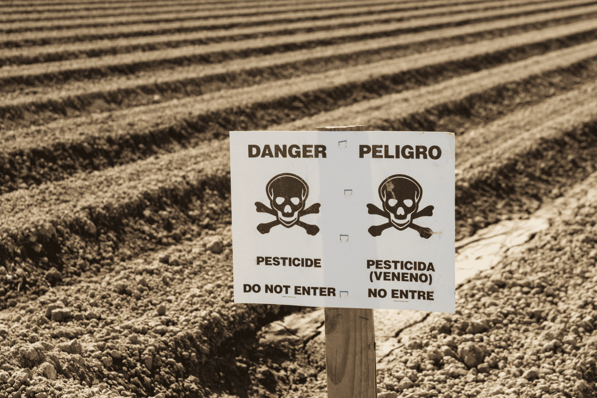 Pesticidas
