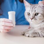 Intoxicación por medicamentos