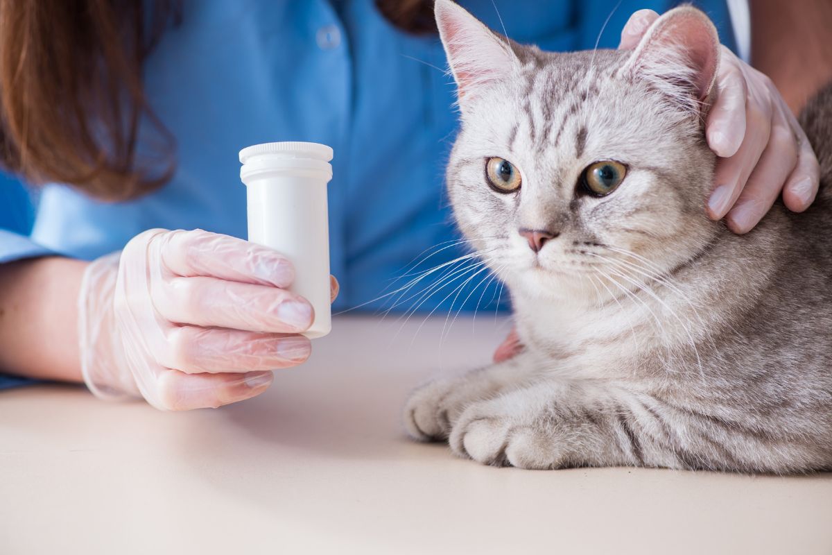 Intoxicación por medicamentos