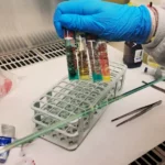 Toxicología veterinaria