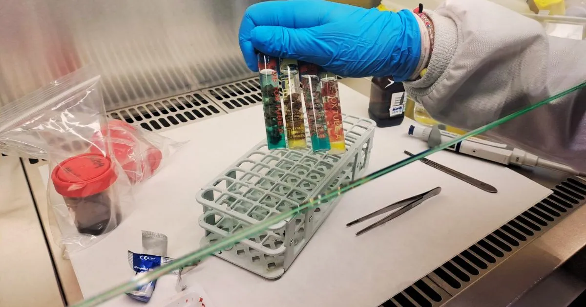 Toxicología veterinaria